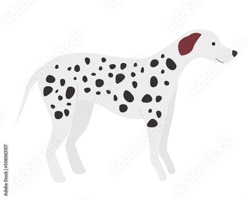 Cute dalmation puppy dog. Standing doggy  domestic funny family pet vector illustration