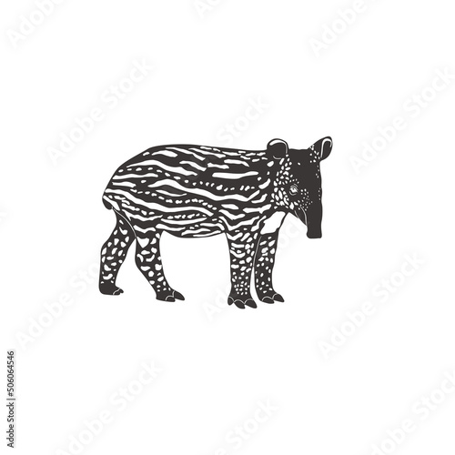 Tapir baby on white background. Vector .