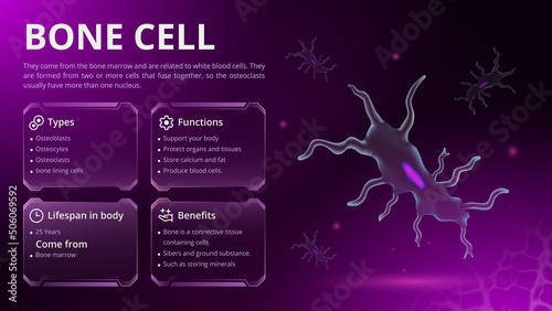 Structure, Function and Types of Bone Cell -Vector Image Design