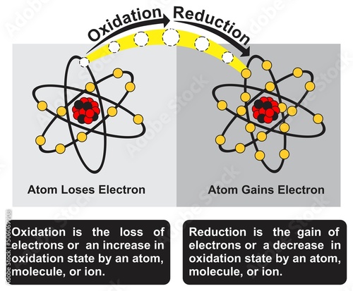 Oxidation and reduction infographic diagram chemistry science education chemical reaction atom molecule ion state lose gain electron cartoon vector drawing chart illustration scheme poster