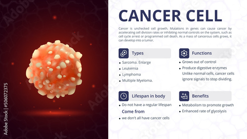 Structure, Function and Types of Cancer Cell Vector Image Design