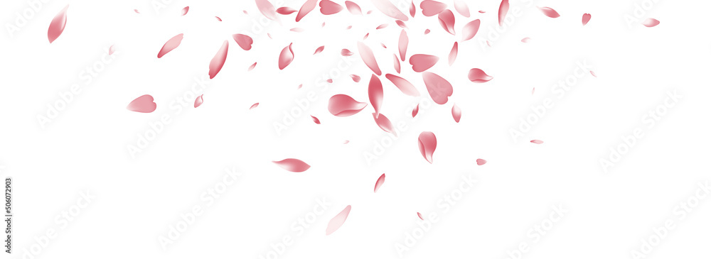 Pastel Apple Petal Vector White Background. Pink