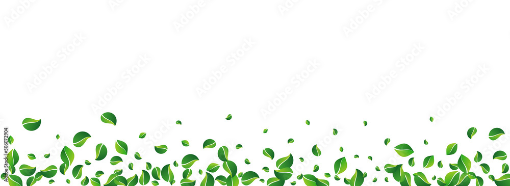 Grassy Leaves Ecology Vector Panoramic White Grassy Leaves Ecology Vector Panoramic White