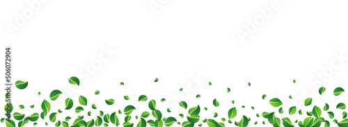 Grassy Leaves Ecology Vector Panoramic White