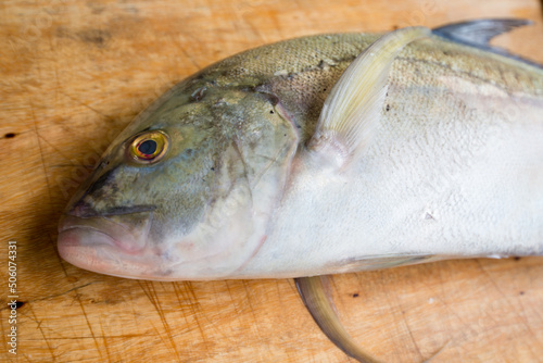 Caranx melampygus, Bluefin trevally or Black ulua on wood floor