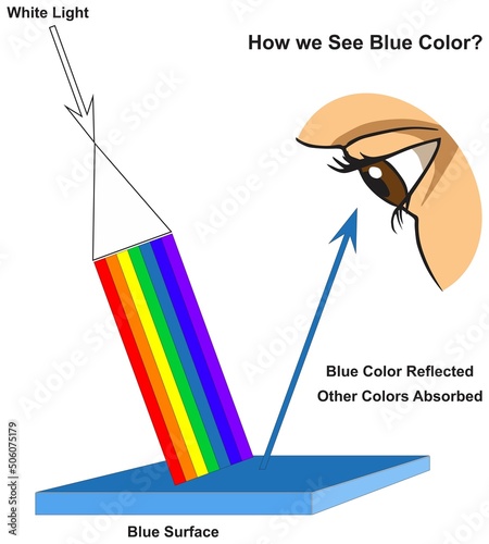 How human eye see blue surface infographic diagram physics mechanics dynamics science education all white light colors absorption reflection cartoon vector drawing chart illustration scheme