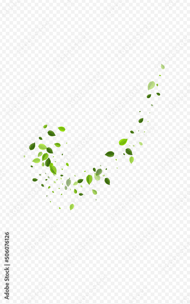 Grassy Foliage Falling Vector Transparent Grassy Foliage Falling Vector Transparent