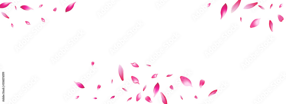 Purple Peach Petal Vector White Background. Purple Peach Petal Vector White Background.