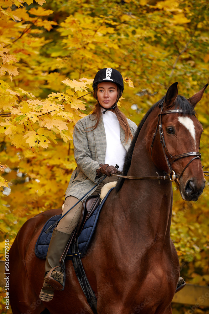 Portrait of a pretty young woman with a brown horse riding autumn day Portrait of a pretty young woman with a brown horse riding autumn day