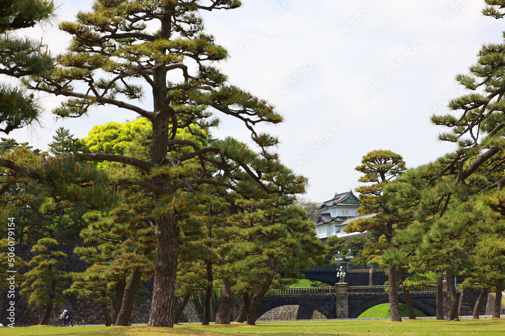 【観光地】皇居外苑・松林越しの二重橋と伏見櫓（東京都千代田区）