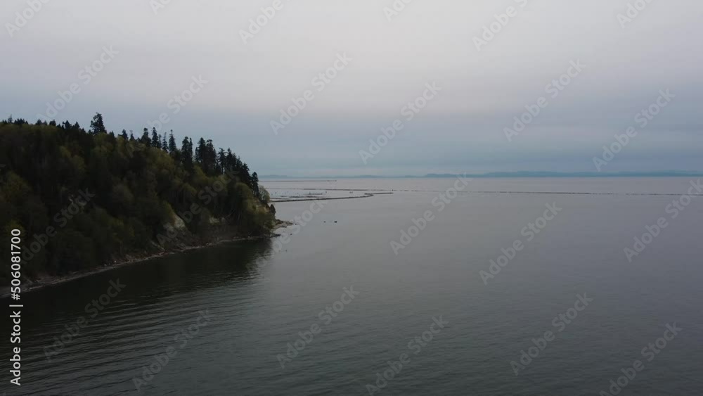 Aerial view of the sea shore in Canada with the logs in water waiting Aerial view of the sea shore in Canada with the logs in water waiting