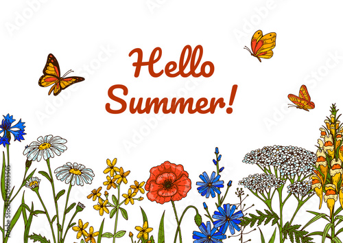 Wildflowers botany design. Colorful hand drawn vector illustration. Summer background