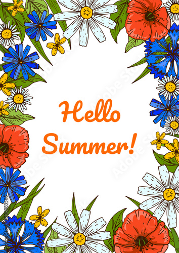 Wildflowers botany design. Colorful hand drawn vector illustration. Summer background
