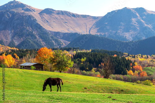 autumn trees in a house and horse in the foreground, large mountain landscape in the back