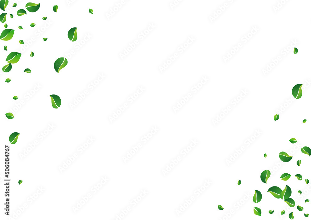 Green Leaf Ecology Vector White Background. Green Leaf Ecology Vector White Background.