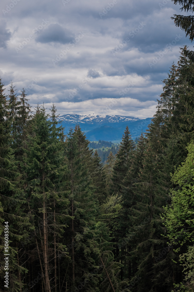 Mountains landscape, panorama.  Carpathian mountains in Ukraine in spring