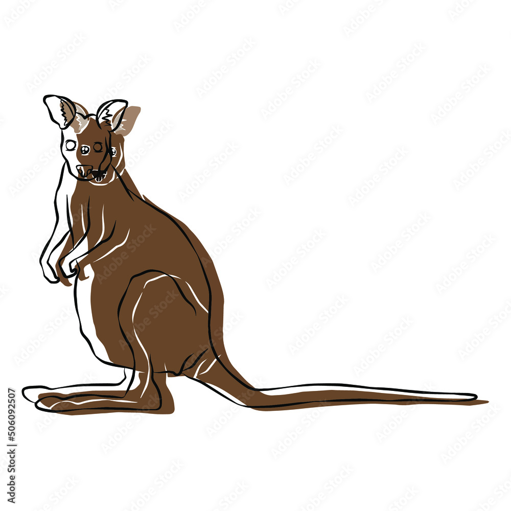 Illustration:Beautiful kangaroo picture Illustration:Beautiful kangaroo picture