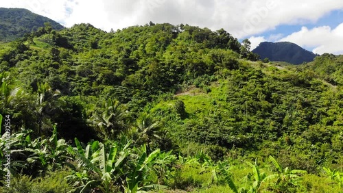 An ascending drone footage from tropical highlands of Philippines, on a bright, sunny day. Shot at the heights of Mount Talinis (Valencia, Negros Oriental, Central Visayas).