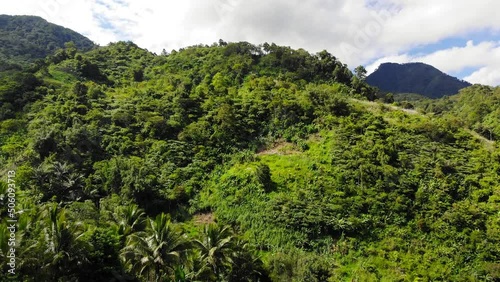 A descending drone footage from tropical highlands of Philippines, on a bright, sunny day. Shot at the heights of Mount Talinis (Valencia, Negros Oriental, Central Visayas).