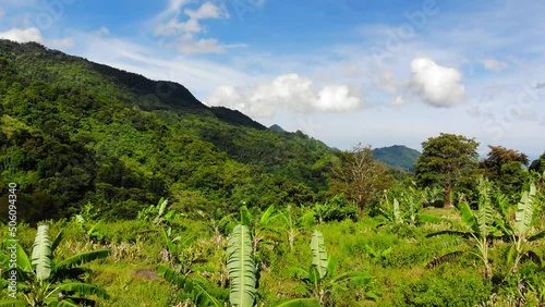 A drone footage from tropical highlands of Philippines, on a bright, sunny day. Shot at the heights of Mount Talinis (Valencia, Negros Oriental, Central Visayas).