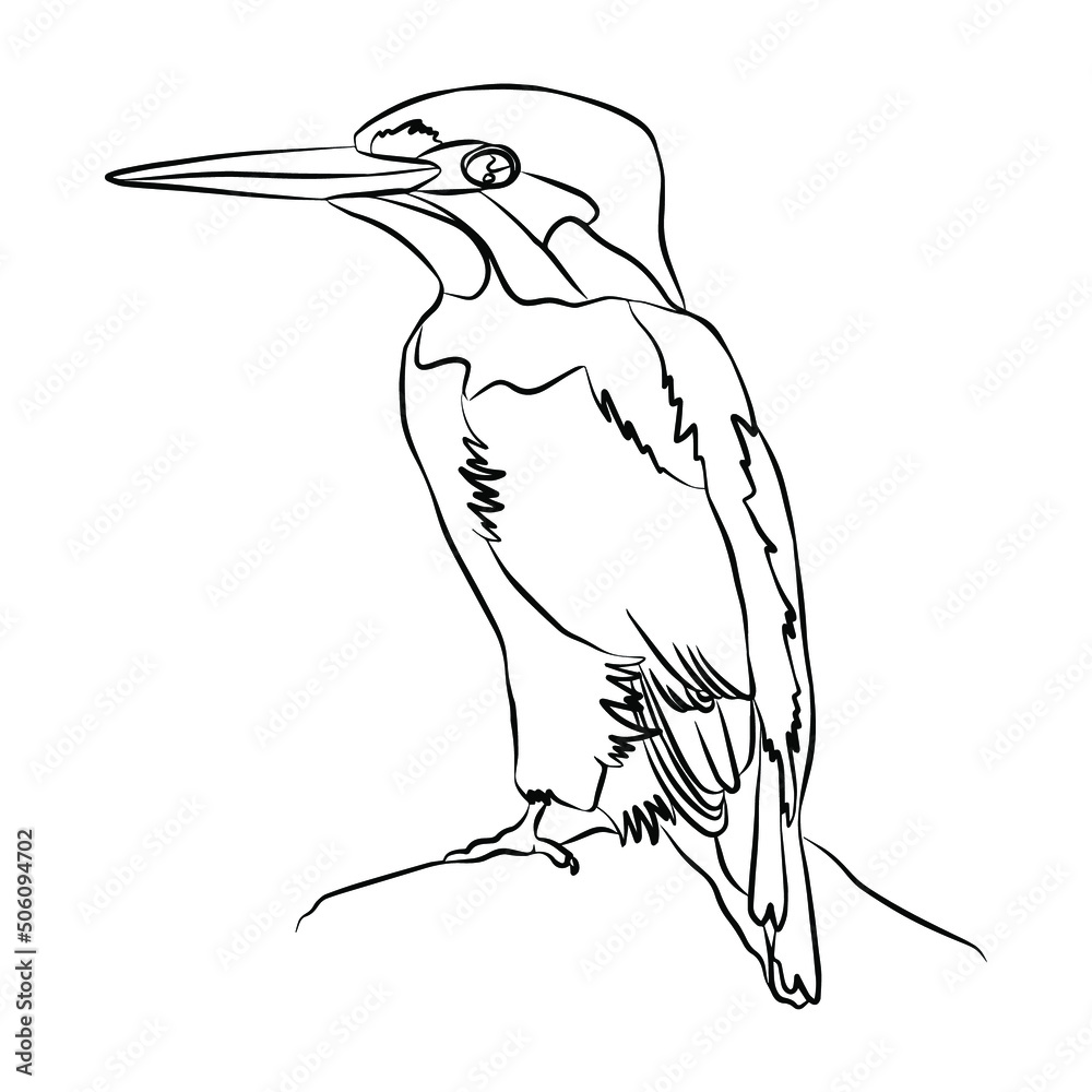 Obraz premium Illustration:Beautiful bird picture