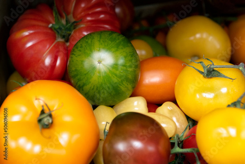 Selection of different varieties of tomatoes