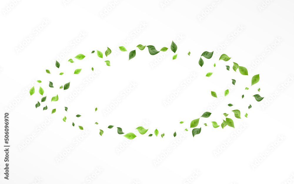 Forest Leaf Herbal Vector White Background Forest Leaf Herbal Vector White Background