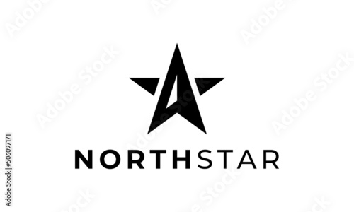 north star logo vector icon illustration. modern style photo