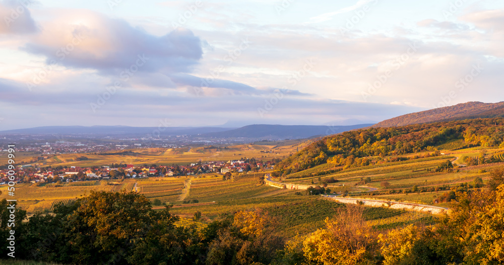 Herbstlandschaft, Ausblick auf Gumpoldskirchen in Niederösterreich
