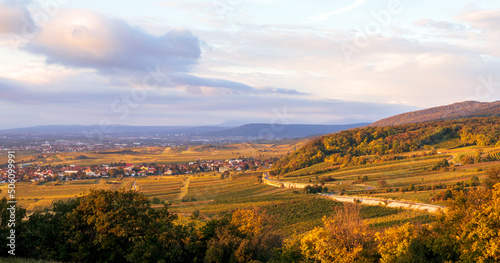 Herbstlandschaft, Ausblick auf Gumpoldskirchen in Niederösterreich