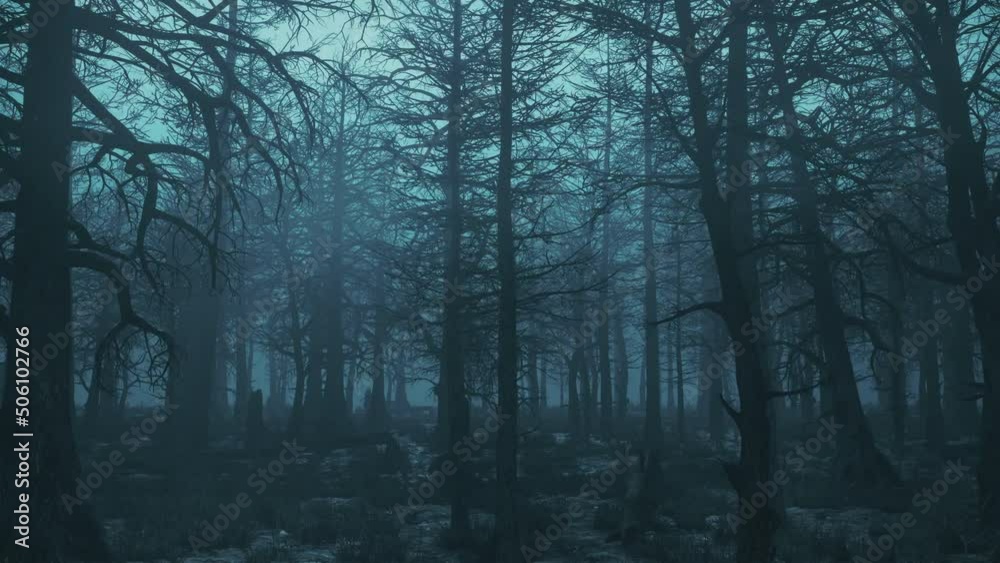 Looped slow flight past a gloomy night forest Looped slow flight past a gloomy night forest