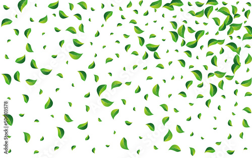 Green Leaves Fresh Vector White Background.