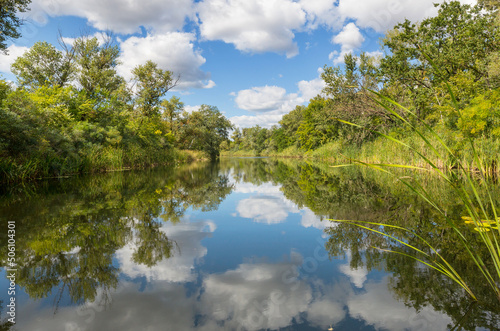 Summer river