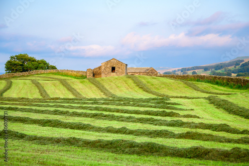 Mowed field with a barn in the background