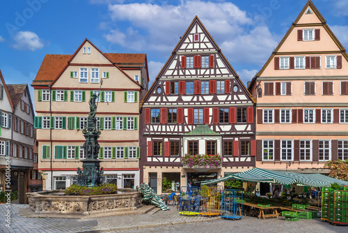 Market Square, Tubingen, Germany