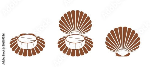 Scallop logo. Isolated scallop  on white background