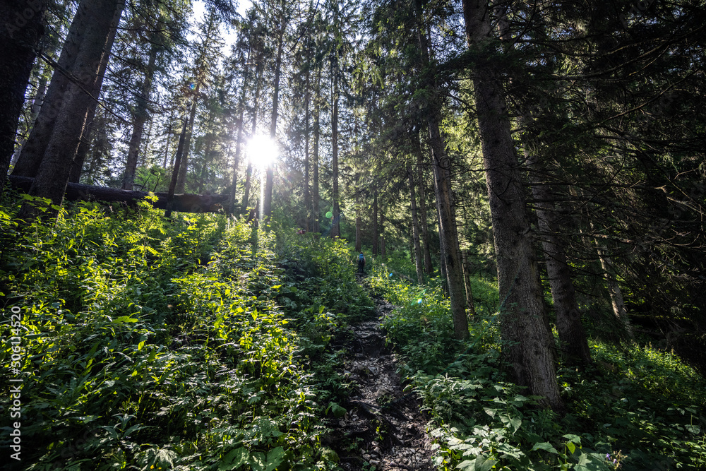 Obraz premium Aufstieg zum Säuling