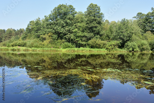 River at the Zelenogorsk, Russia