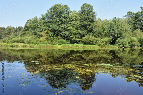 River at the Zelenogorsk  Russia