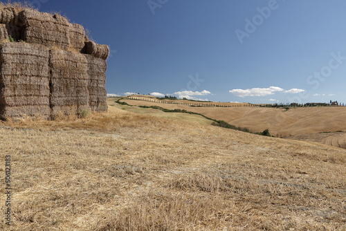 Campagna Toscana dopo la mietitura del grano in una calda giornata estiva - Asciano - Toscana - Italia © Andrea
