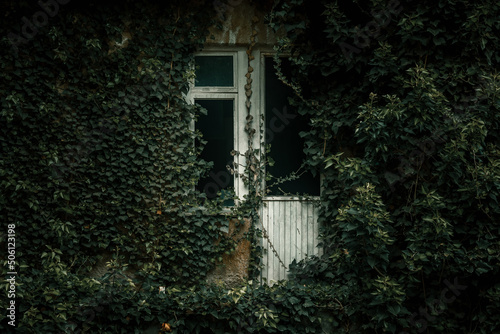 Balcony with a door shrouded in leaves. An old abandoned building covered with green leaves. Shabby walls.