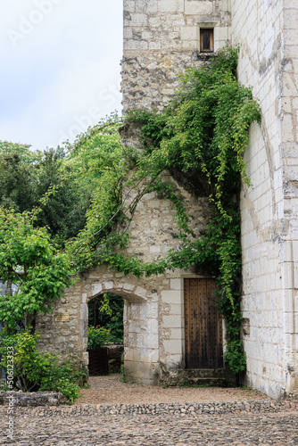 Fototapeta Naklejka Na Ścianę i Meble -  Medieval castle wall and entrance to garden with climbing plants along the wall and a door