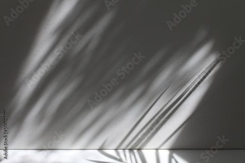 Soft focus gray grain texture black and white refraction wall . Light and shadow smoke abstract copy space background. Palm leaf.