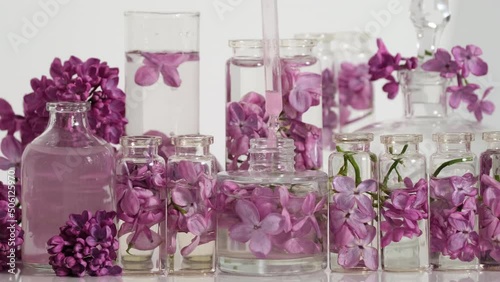 Floral perfume with the scent of lilac. Perfumery. Oil essence with lilac flowers. Production of perfumes in laboratory. Drops of essential oil from cosmetic pipette fall into perfume slow motion