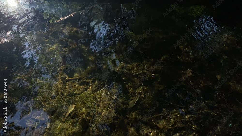 Transparent pure water in the pond. Slow motion video with sunlight effects. Transparent pure water in the pond. Slow motion video with sunlight effects.