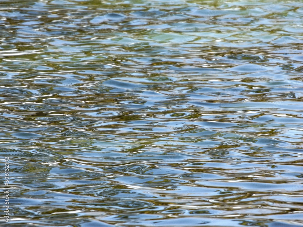 Water Water
