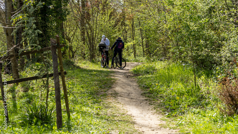 Young teenagers cycling on a grassy path, from behind, in the spring Young teenagers cycling on a grassy path, from behind, in the spring