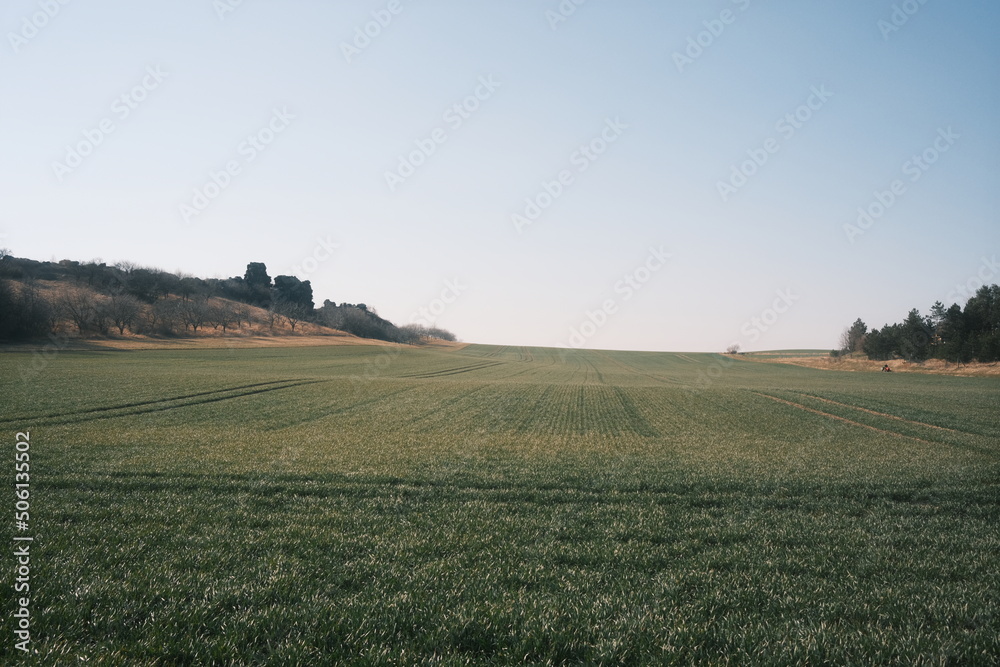 Große Felder zum Anbauen von Getreide neben der Teufelsmauer Harz