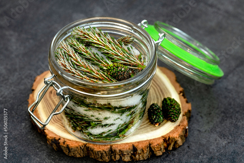 Pine sprouts syrup