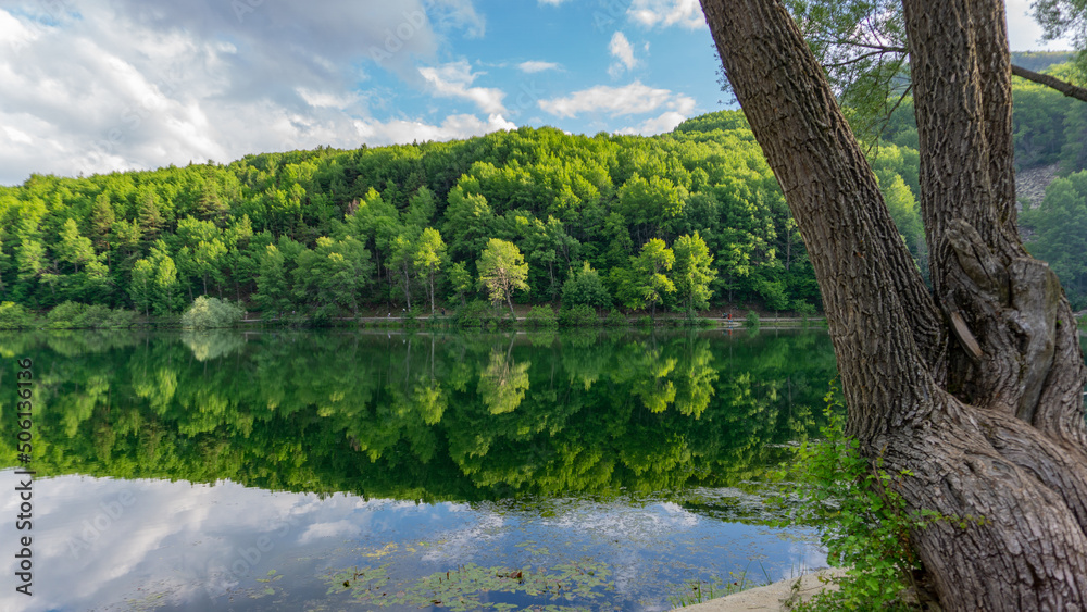 Fototapeta premium lake in green